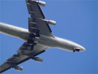 Form of transport - plane